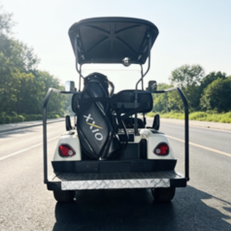 2026 New Launched 2 Seat 72V L - Golf Bag Stand Cart ulasan dan harga