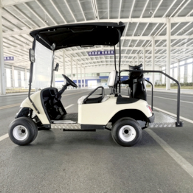 2026 New Launched 2 Seat 72V L - Golf Bag Stand Cart ulasan dan harga