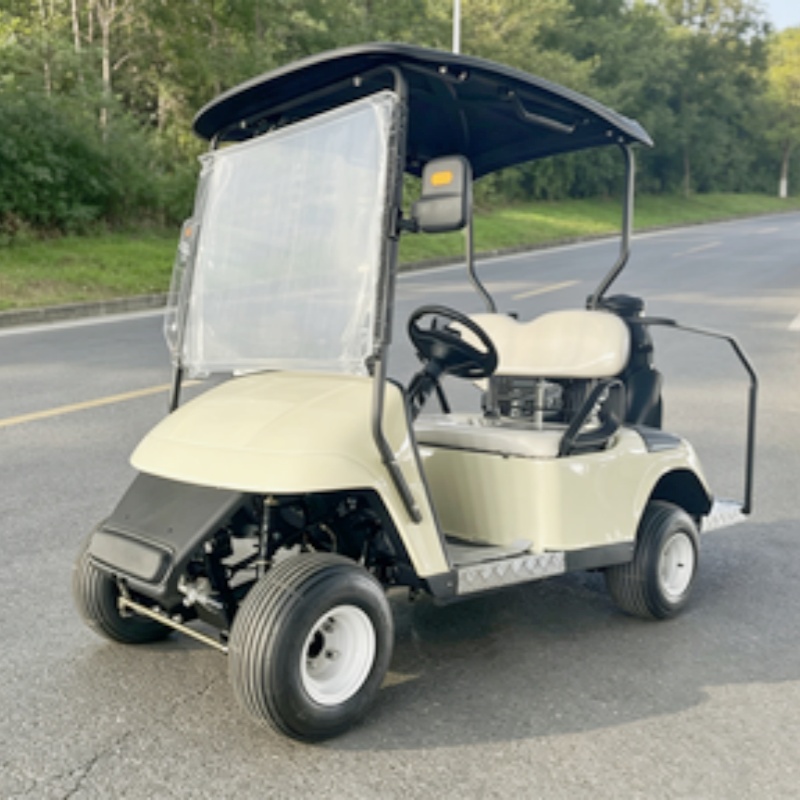 2026 New Launched 2 Seat 72V L - Golf Bag Stand Cart ulasan dan harga