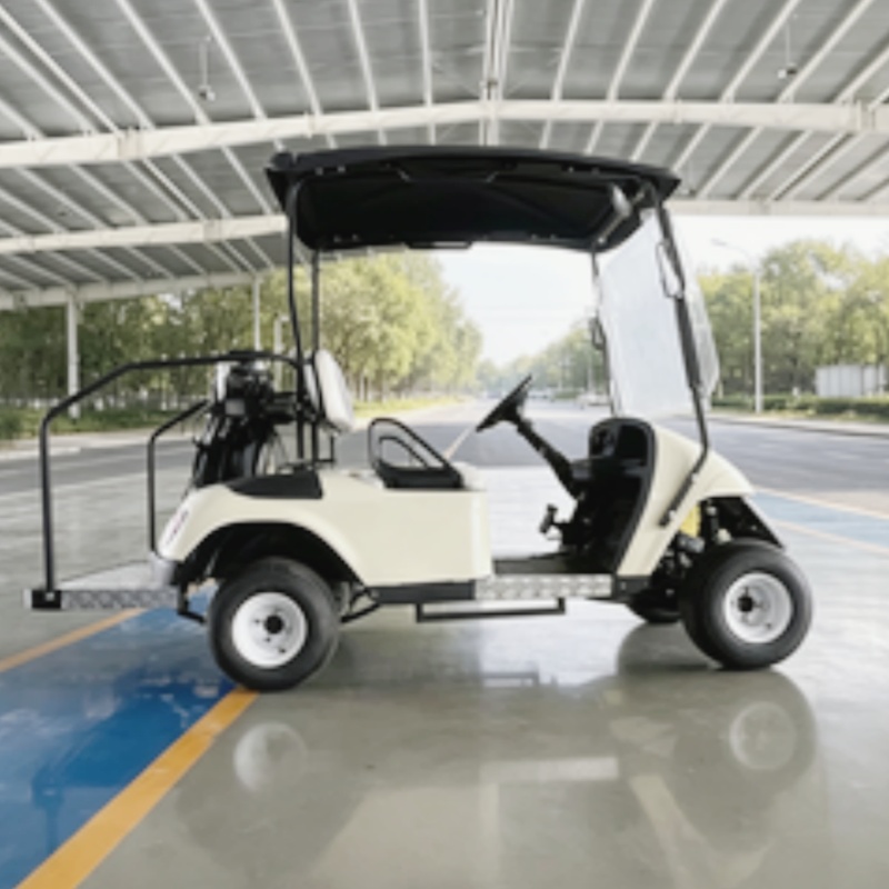 2026 New Launched 2 Seat 72V L - Golf Bag Stand Cart ulasan dan harga