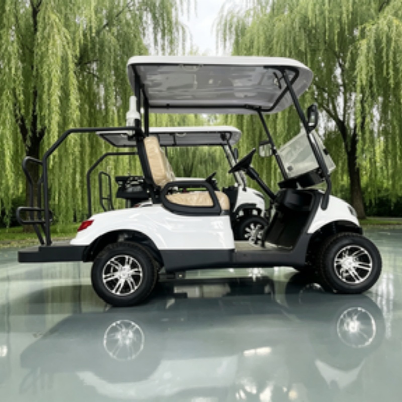 China Electric Golf Cart Lithi - Golf Bag Stand Cart ulasan dan harga