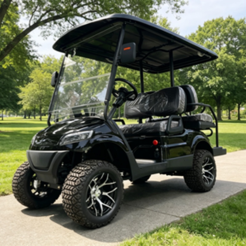 Golf Cart 2 Seater Electric Go - Golf Bag Stand Cart ulasan dan harga