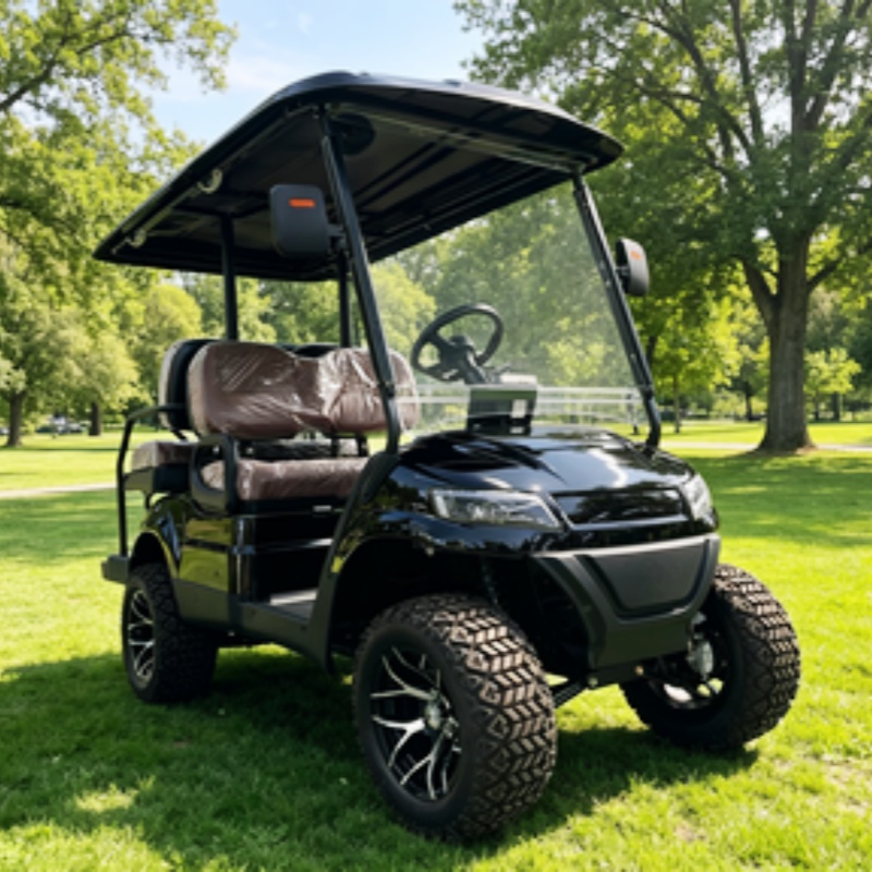 Golf Cart 2 Seater Electric Go - Golf Bag Stand Cart ulasan dan harga