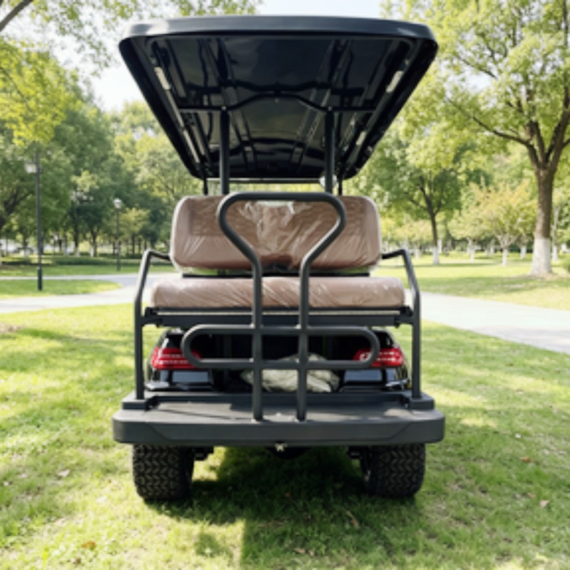 Golf Cart 2 Seater Electric Go - Golf Bag Stand Cart ulasan dan harga