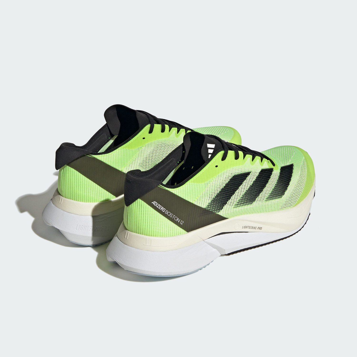 Adidas genuine ADIZERO BOSTON  - Adidas Shoes Adizero Boston 12 ulasan dan harga