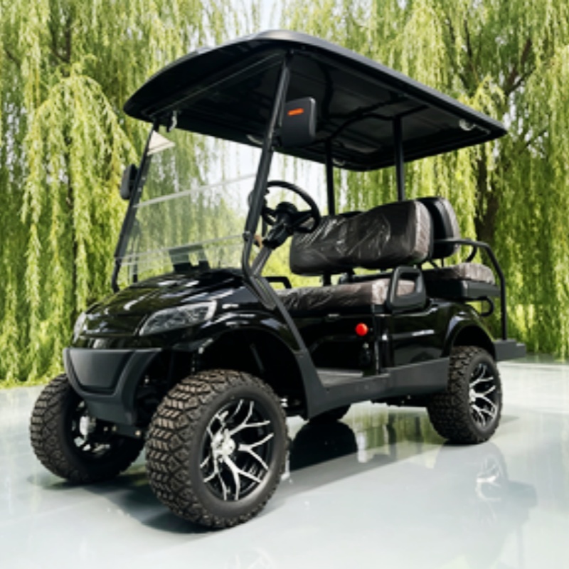 Lithium Battery Club 2 Seater  - Golf Bag Stand Cart ulasan dan harga