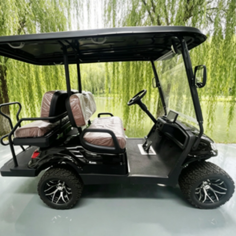 Lithium Battery Club 2 Seater  - Golf Bag Stand Cart ulasan dan harga