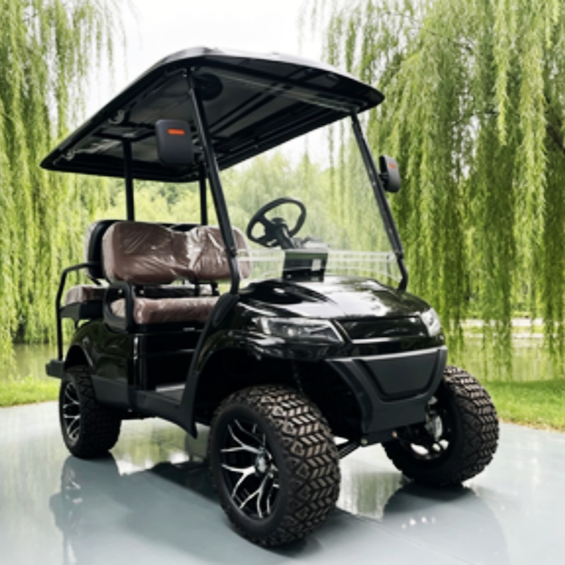 Lithium Battery Club 2 Seater  - Golf Bag Stand Cart ulasan dan harga